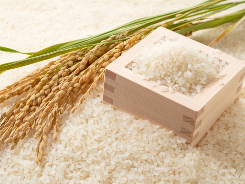 How to properly preserve rice for a long time without spoiling